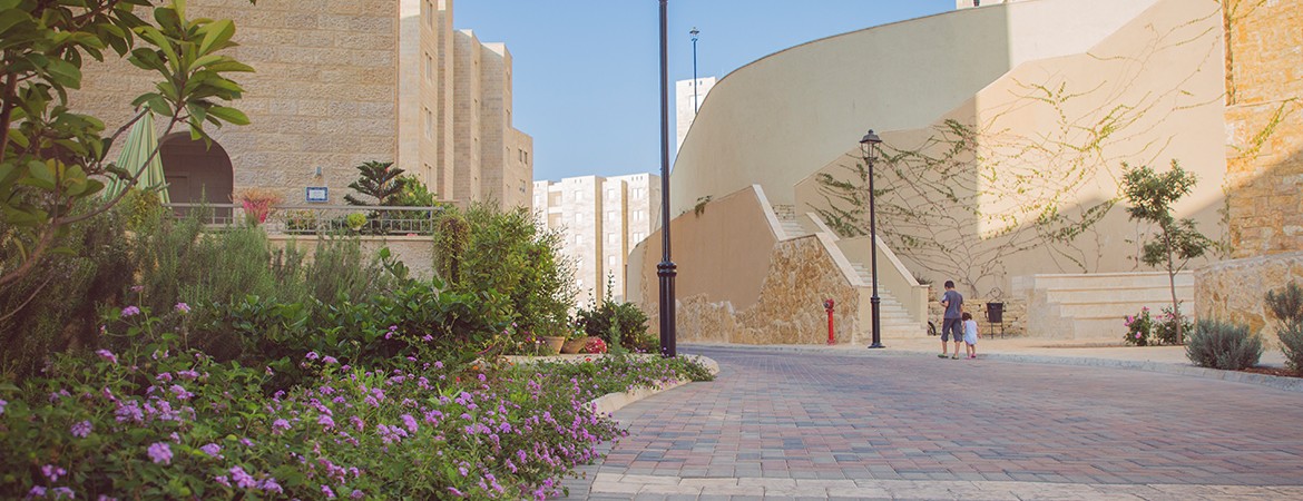 We can all enhance the beauty of the Palestinian landscape for future generations