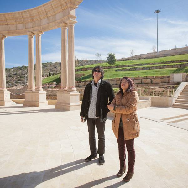 أندرو روس، بروفيسورفي التحليل الثقافي والإجتماعي، جامعة نيويورك - الولايات المتحدة الأمريكية