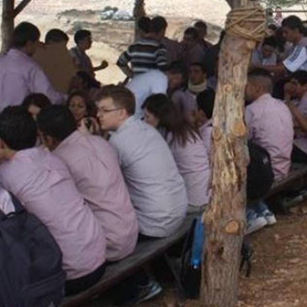 مدارس المستقبل
