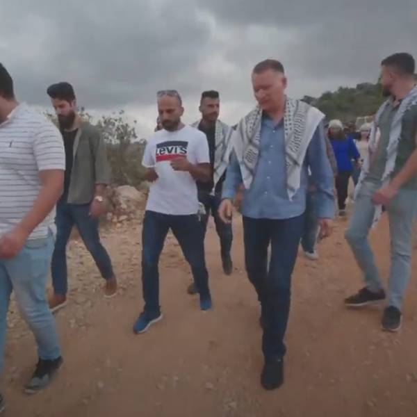 قطف الزيتون في روابي 2019